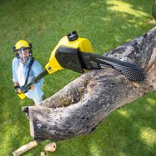 Lawn Pest Prevention in Melody Hill, IN